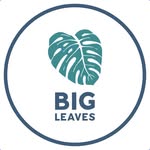 Big Leaves